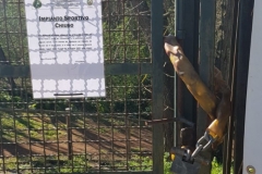 05a0d5b2-0379-479d-940d-0b7f1f5cd9a5