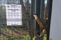 7340a8a1-cb18-418e-984c-fa9f4e2c2b6d