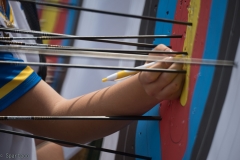 DSC_7357-20160619_8026