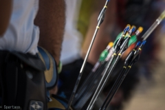 DSC_7394-20160619_8063