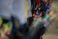 DSC_7403-20160619_8072