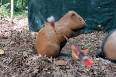 IMG-20220514-WA0029