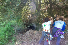 IMG-20240407-WA0020
