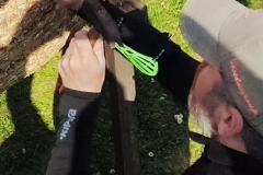 IMG_20260329_104153b